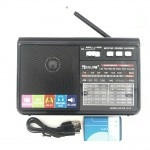 Radio Golon RX-1313 cu redare MP3 și multiple benzi